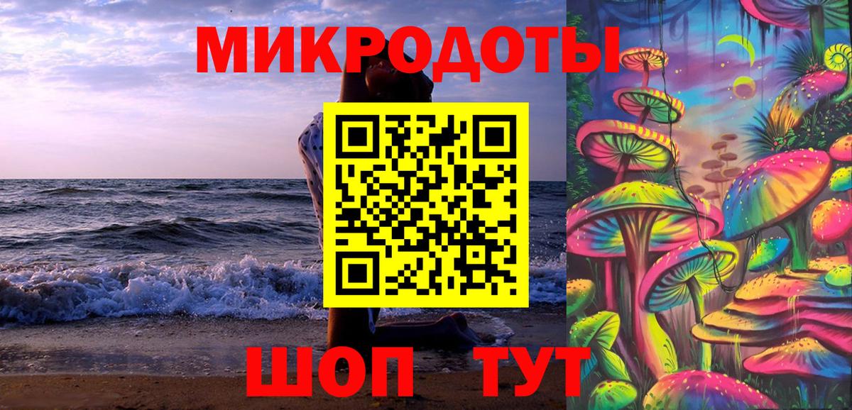 Галлюциногенные грибы Psilocybine cubensis Кызыл